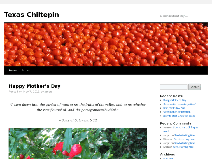 www.texaschiltepin.com