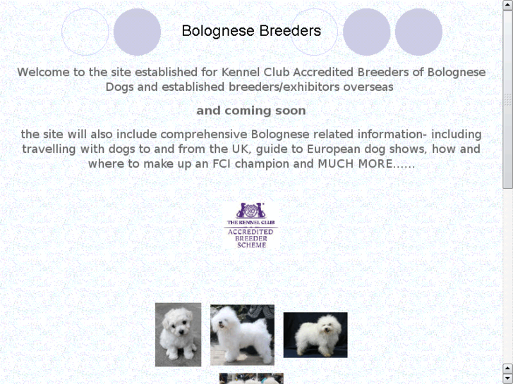 www.bolognesebreeders.info