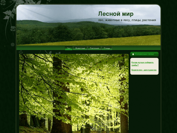 www.forestbranch.com