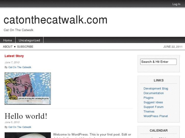 www.catonthecatwalk.com