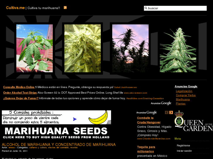 www.cultivamarihuana.com