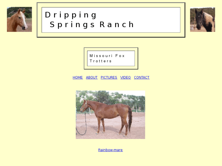 www.drippingspringsranch.com