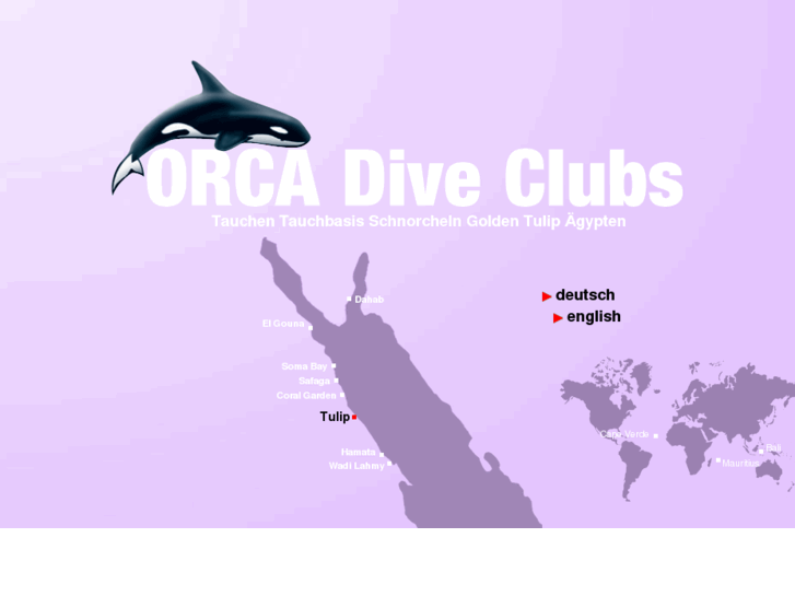 www.orca-diveclub-tulip.com