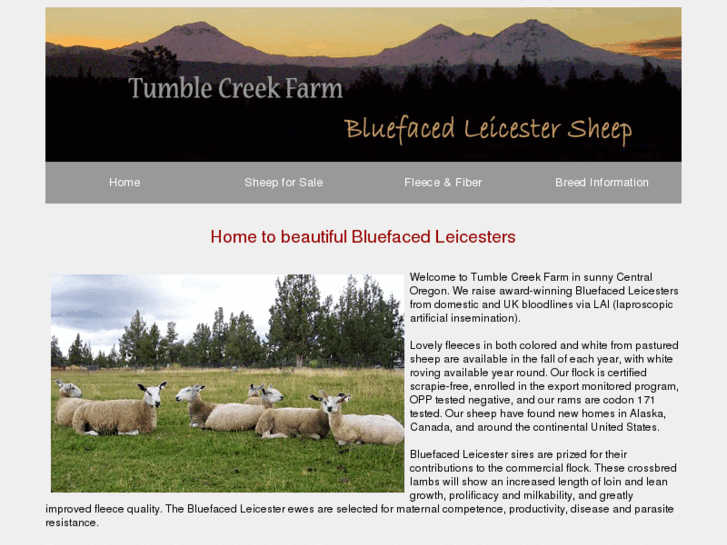 www.tumblecreekfarm.com