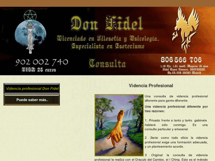 www.videnciaprofesional.es