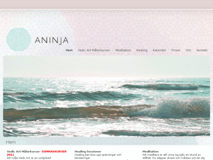 www.aninja.se