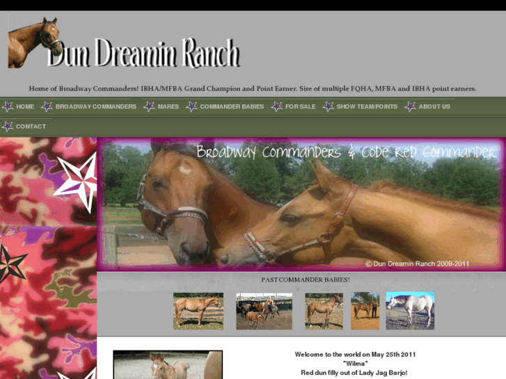 www.dundreaminranch.com