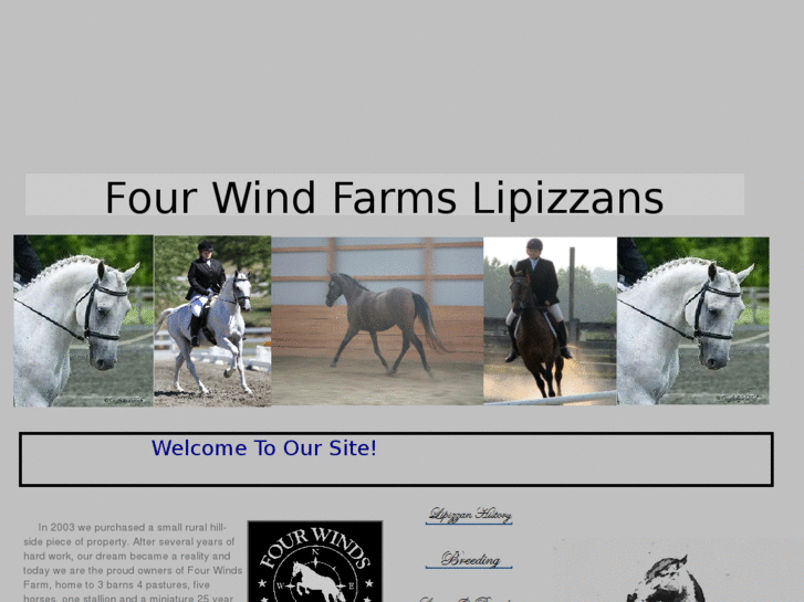 www.lipizzanerhorses.com