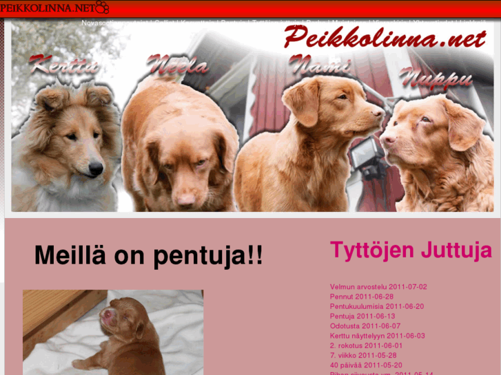 www.peikkolinna.net