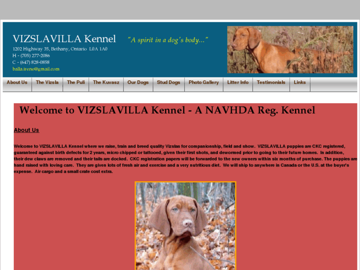 www.vizslavilla.com