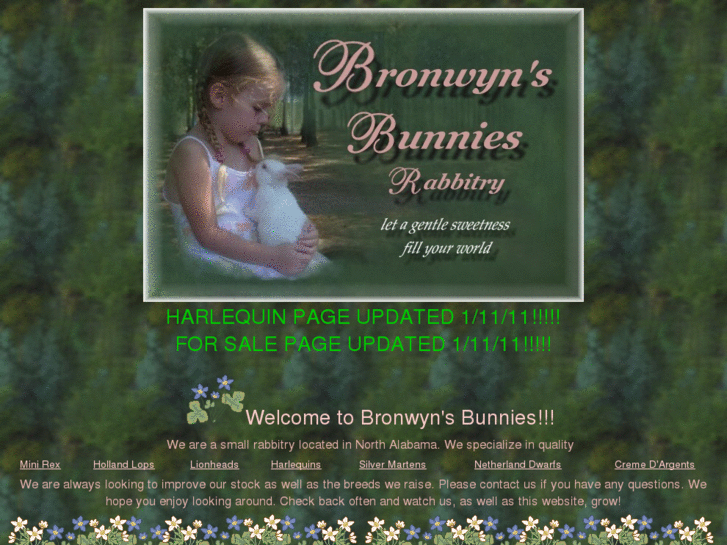 www.bronwynsbunnies.com