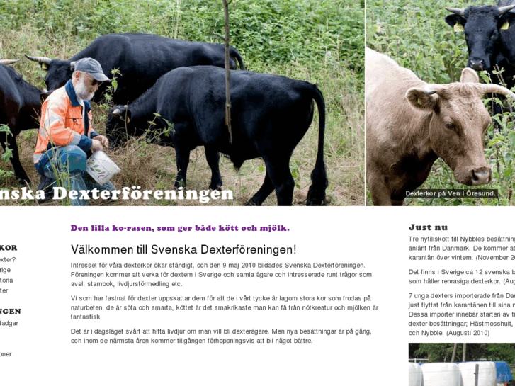 www.dexterforeningen.se