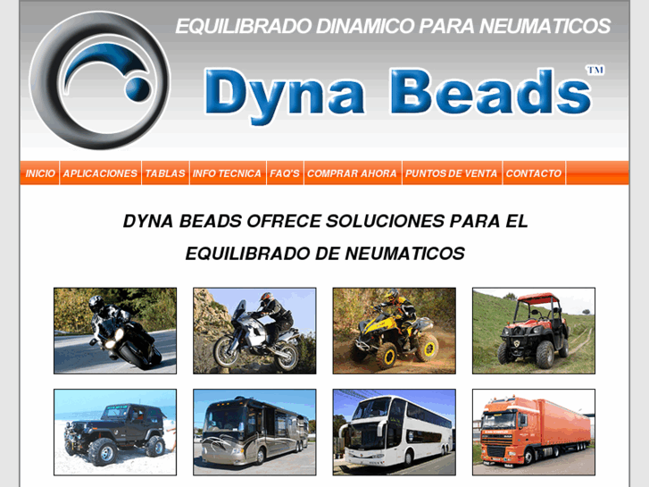 www.dynabeads.es