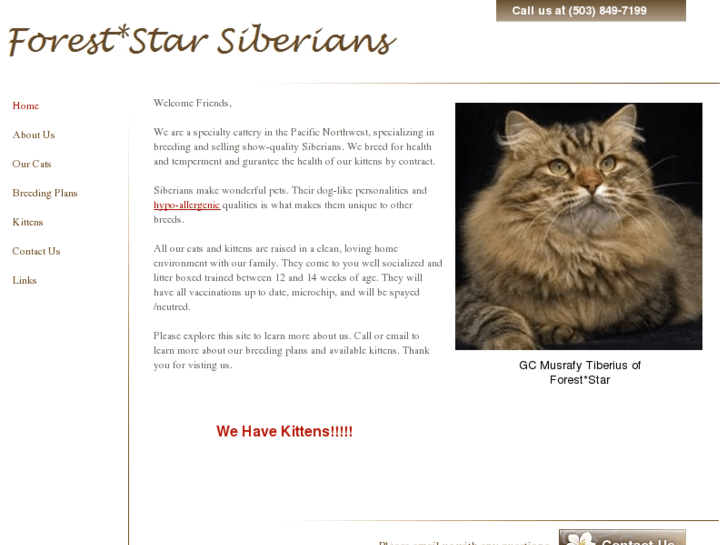 www.foreststarsiberians.com