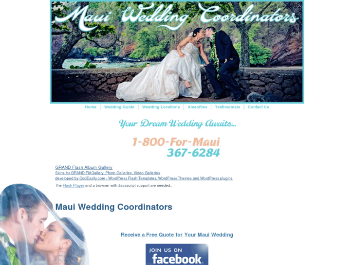 www.mauiweddingcoordinators.com