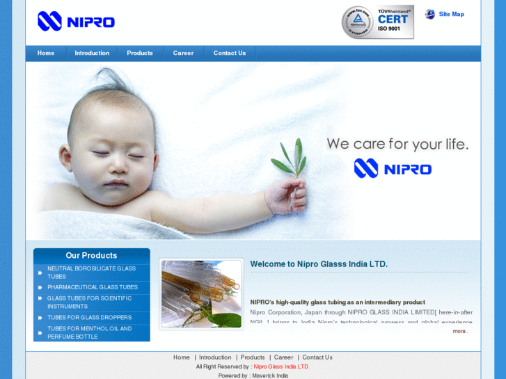 www.niproglassindia.com