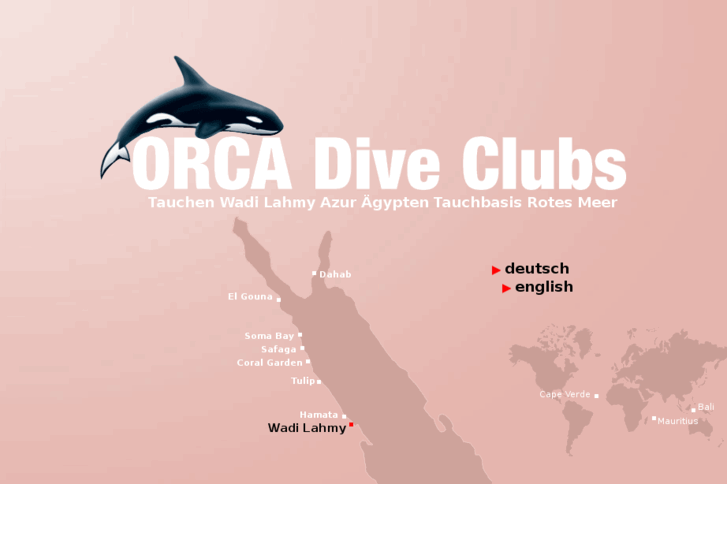 www.orca-diveclub-wadilahmy.com