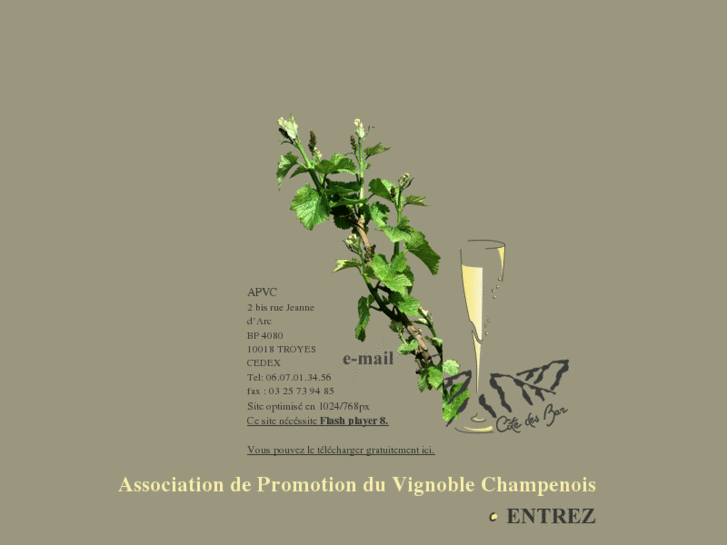 www.vignoble-champagne.com