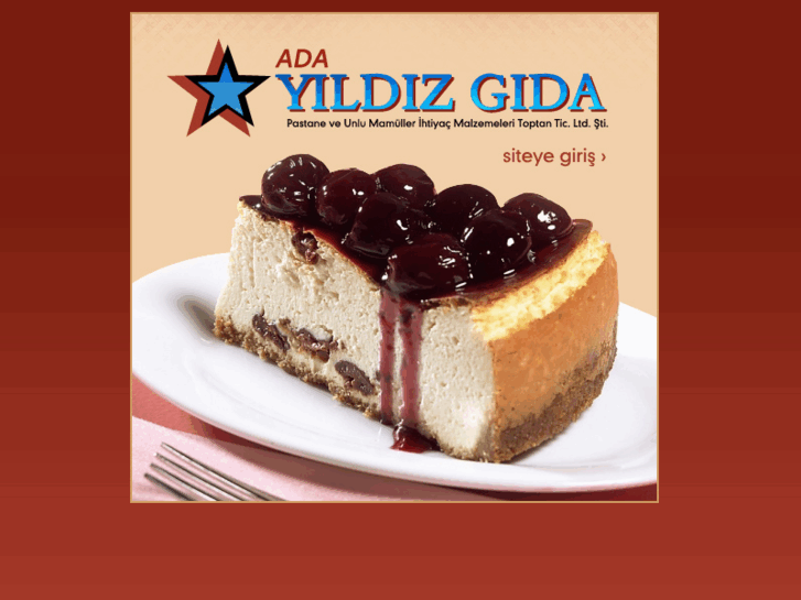 www.adayildizgida.com