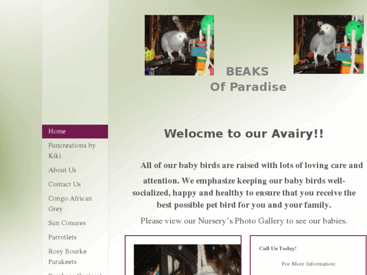 www.beaksofparadise.com