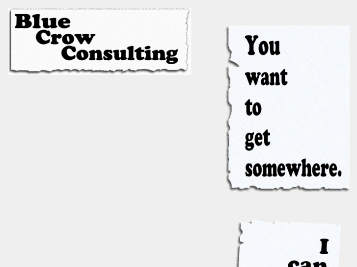 www.bluecrowconsulting.com