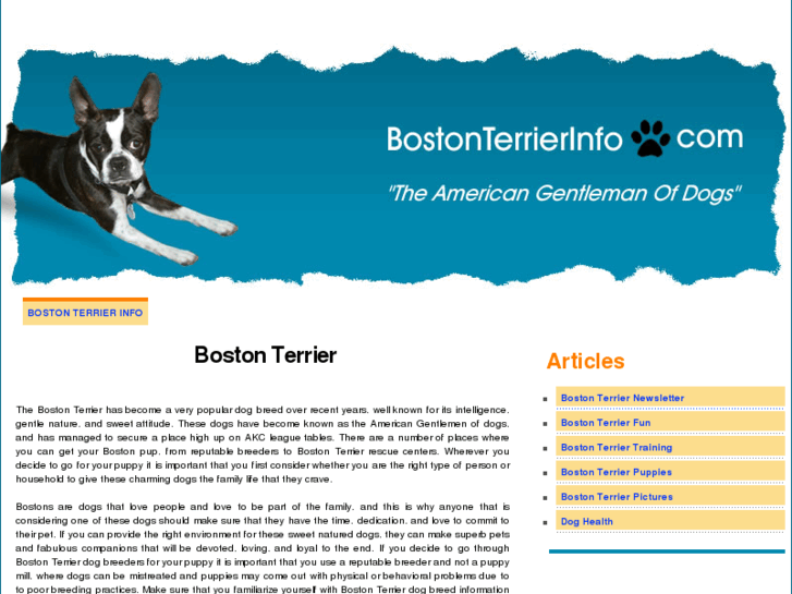 www.bostonterrierinfo.com