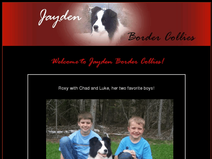 www.jayden-bordercollies.com