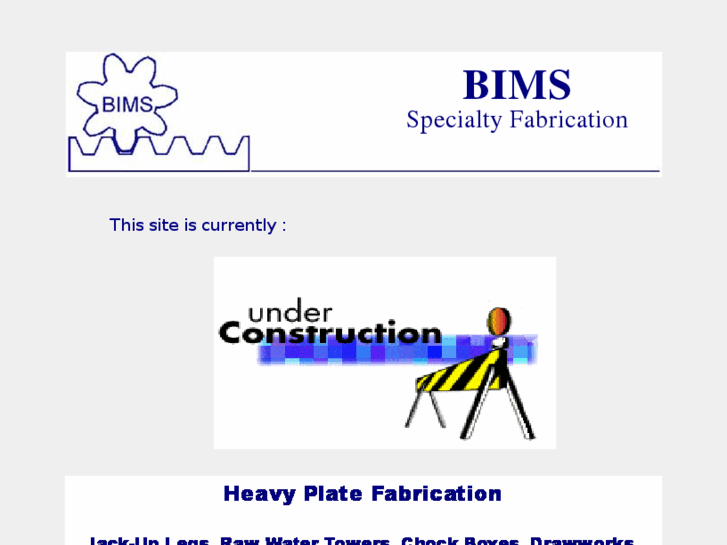 www.bimshouston.com