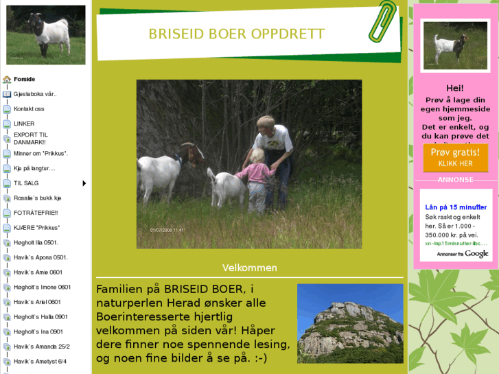 www.briseidboer.com