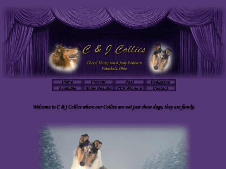 www.candjcollies.com