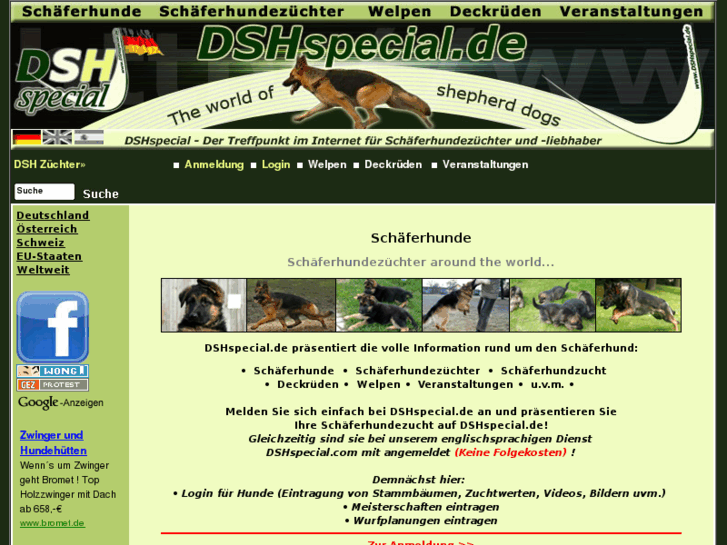 www.dshspecial.de