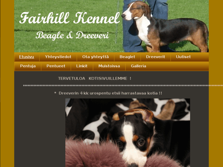 www.fairhillkennel.com