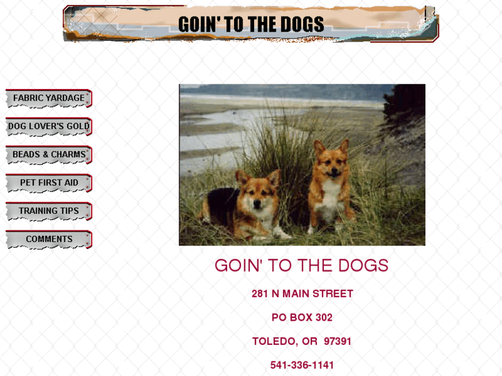 www.gointothedogs.com