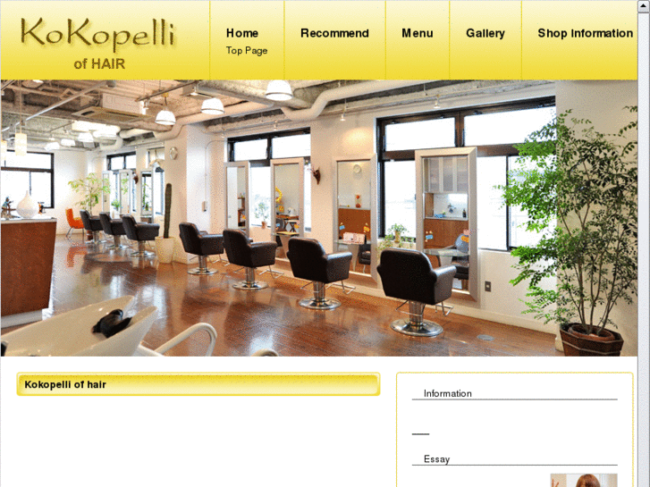 www.kokopelliofhair.com