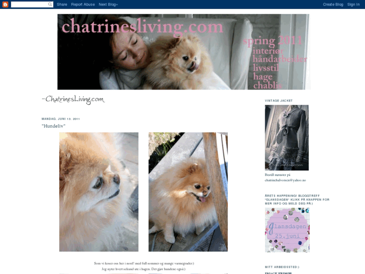 www.chatrinesliving.com