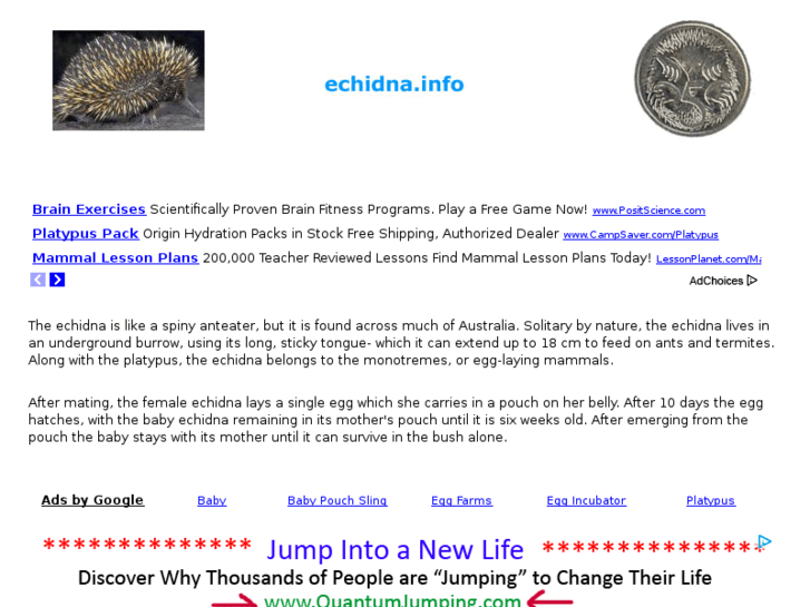 www.echidna.info