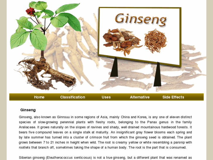 www.ginseng1.com