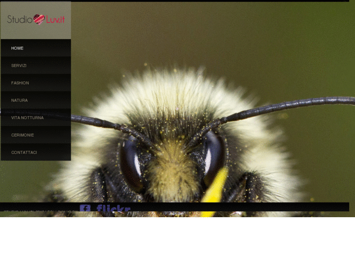 www.studioluv.it