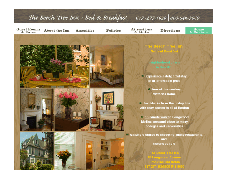 www.thebeechtreeinn.com