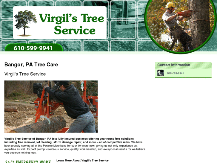 www.virgilstreeservicepa.com