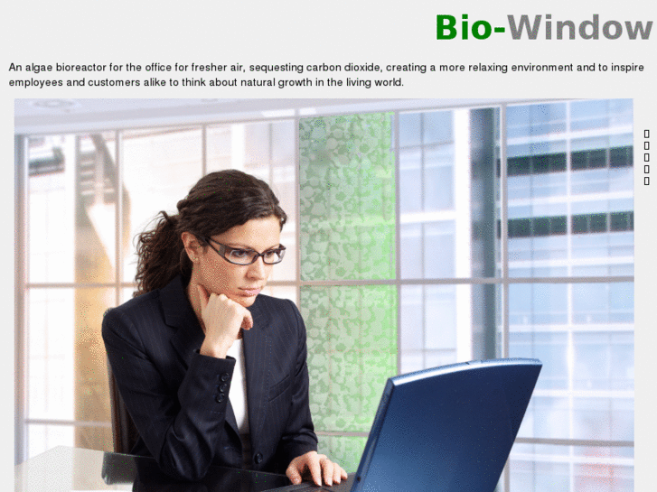 www.bio-window.com