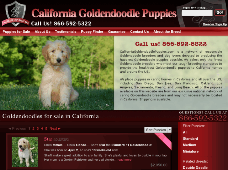 www.californiagoldendoodlepuppies.com