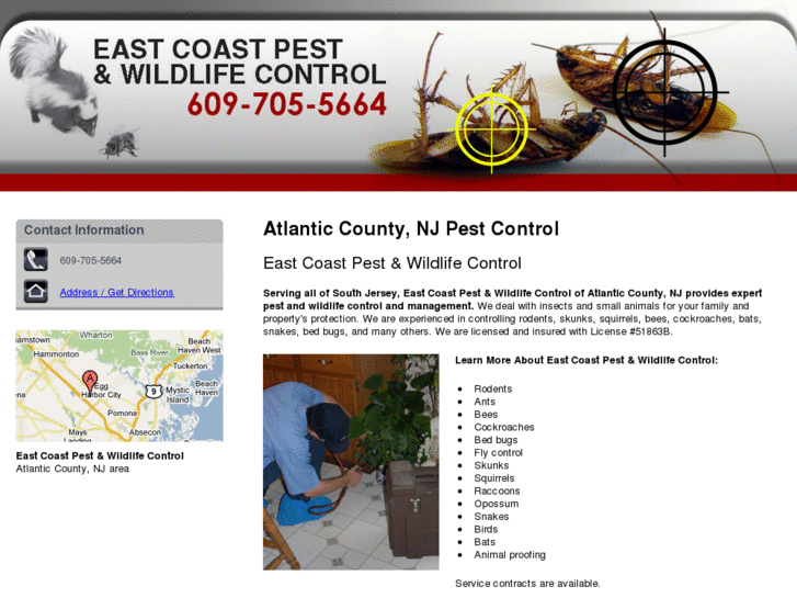 www.eastcoastpestandwildlifecontrol.com