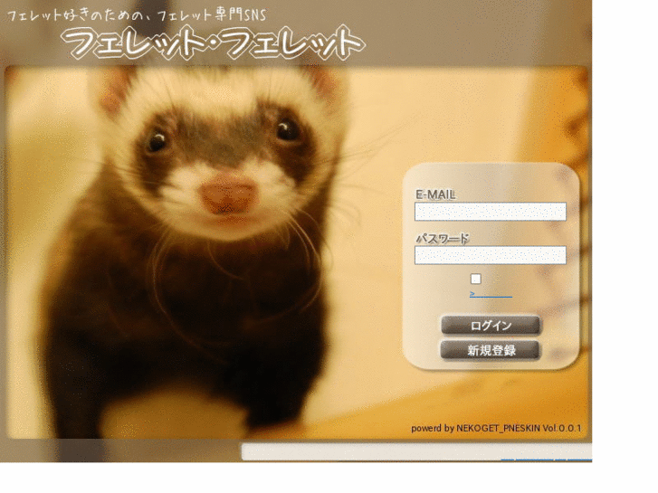 www.ferret-ferret.net