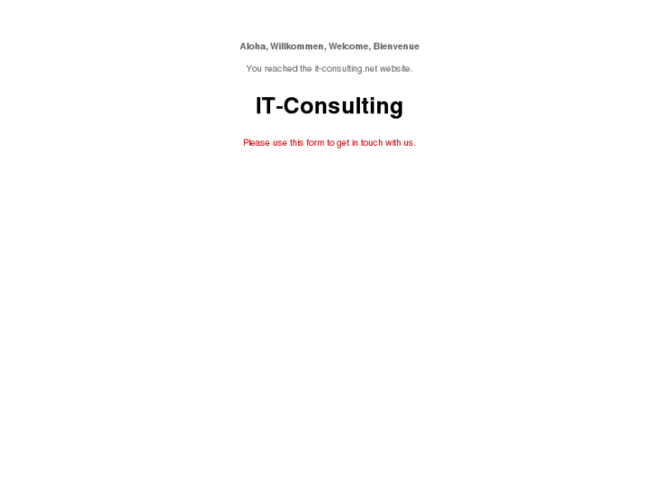 www.it-consulting.net