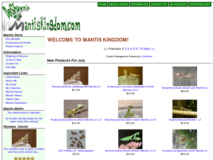 www.mantidkingdom.com