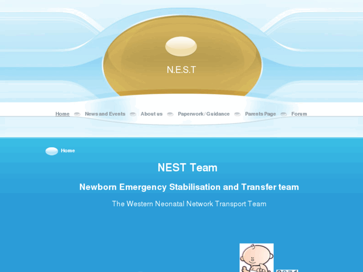 www.nestteam.org