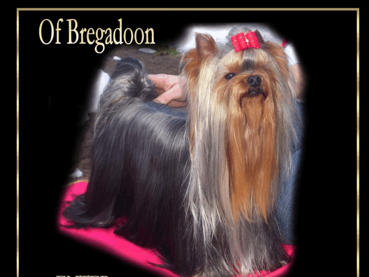 www.ofbregadoon.de