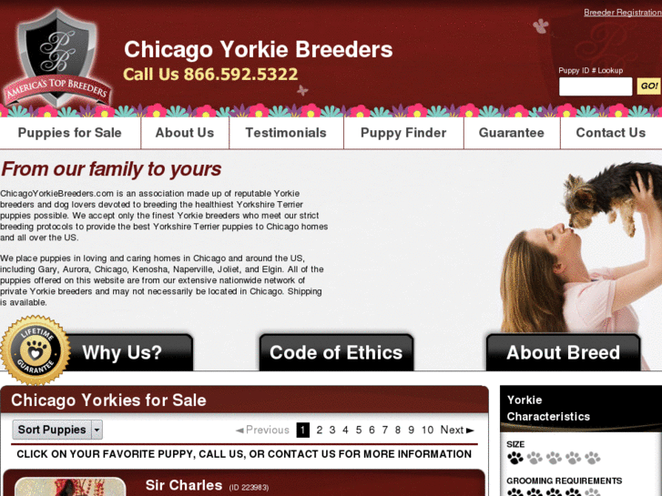 www.chicagoyorkiebreeders.com