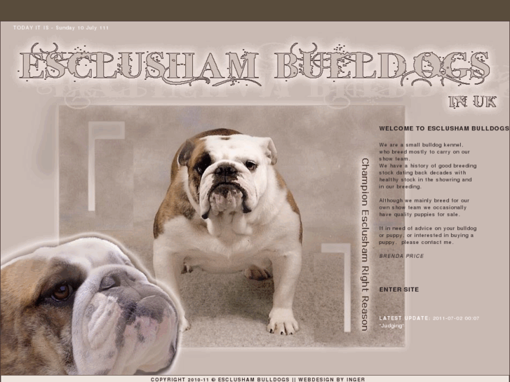 www.esclushambulldogs.co.uk